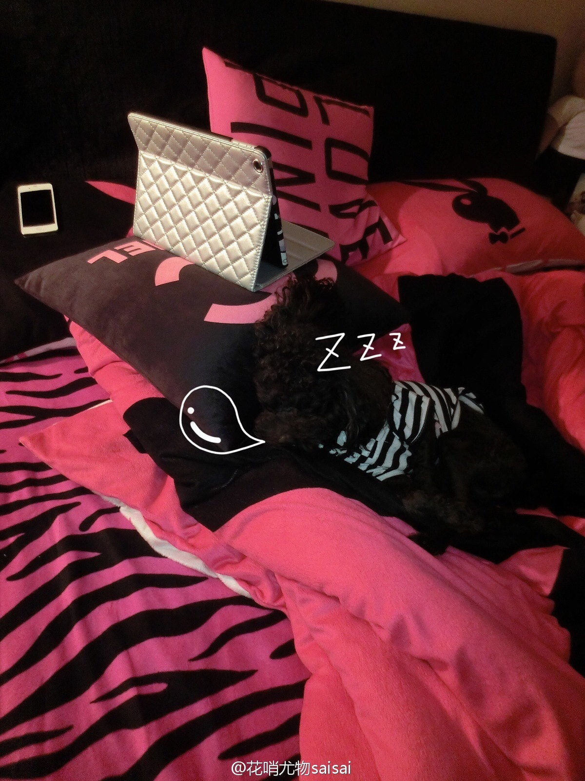 花哨尤物saisai的微博列表微女郎